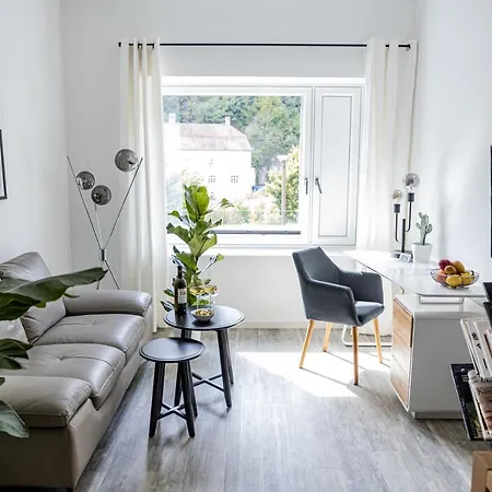 Apartmán Bonnystay L Modern L Zentral L Work Space L Kitchen L Smart Tv L Wlan Pasov